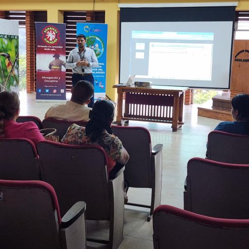 497912461 1104057701748781 n